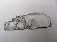 Zoo Sketchcrawl